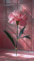 ai generiert Rosa Blume mit Grün Stengel auf Rosa Hintergrund foto