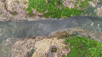 Wasserfluss zwischen den Korallen am Strand foto