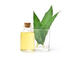 natürliches ätherisches Eukalyptusöl mit grünen Blättern isoliert auf weiß