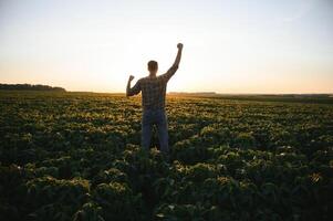 glücklich Agronom oder Farmer angehoben seine Hände bergauf im das Feld und freut sich beim ein gut Ernte. foto