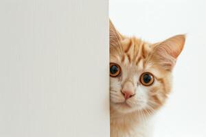 ai generiert Orange Katze sieht aus um ein Ecke neugierig foto