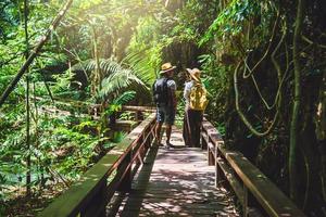 asiatisches paar glücklich reisen durch den mangrovenwald. Reisen zu Fuß auf einer Holzbrücke. Naturlehrpfad, Thanbok-Wasserfall, Erholung, Reisen, Rucksäcke, Natur, Tourismus, Landschaft, Stil, Wald foto