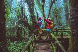 Liebhaber asiatischer Mann und asiatische Frauen reisen die Natur. naturstudie im regenwald von chiangmai in thailand. foto