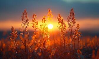 ai generiert Gras und Blumen im das Strahlen von das steigend Sonne foto