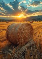 ai generiert Heu Ballen auf das Feld nach Ernte foto