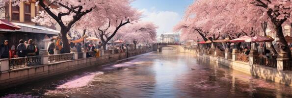 ai generiert still Sakura Garten. Kirsche Blüten im voll blühen auf ein heiter und sonnendurchflutet Tag. Banner foto