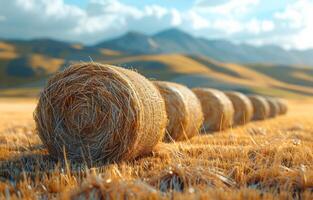 ai generiert Heu Ballen auf das Feld nach Ernte landwirtschaftlich Landschaft foto