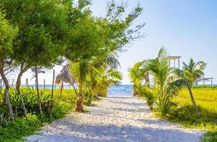Natürlicher tropischer mexikanischer Strand 88 Eingang Playa del Carmen Mexiko.
