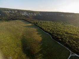 Antenne Aussicht auf Grün Weizen Feld im Landschaft. Feld von Weizen weht im das Wind auf Sonnenuntergang. jung und Grün Ährchen. Ohren von Gerste Ernte im Natur. Agronomie, Industrie und Essen Produktion. foto