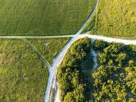 Antenne Aussicht auf Grün Weizen Feld und Straße im Landschaft. Feld von Weizen weht im das Wind auf Sonnenuntergang. jung und Grün Ährchen. Ohren von Gerste Ernte im Natur. Agronomie, Industrie und Essen Produktion foto