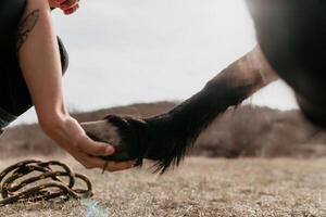 jung glücklich Frau mit ihr Pony Pferd im Abend Sonnenuntergang Licht. draussen Fotografie mit Mode Modell- Mädchen. Lebensstil Stimmung. oncept von draussen Reiten, Sport und Erholung. foto