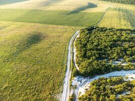 Antenne Aussicht auf Grün Weizen Feld und Straße im Landschaft. Feld von Weizen weht im das Wind auf Sonnenuntergang. jung und Grün Ährchen. Ohren von Gerste Ernte im Natur. Agronomie, Industrie und Essen Produktion foto