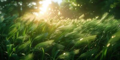 ai generiert Sonne scheint durch Grün Gras foto