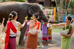 Nahansicht schön thailändisch jung Dame Ware thailändisch traditionell Kleid verwenden Blumen zu streuen Wasser auf jeder andere auf das thailändisch Neu Jahre Tag im ein Spaß Weg auf verschwommen Elefant und Stapel von Sand Hintergrund. foto