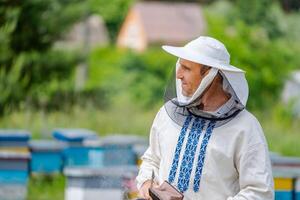 Imker im schützend Arbeitskleidung. Nesselsucht Hintergrund beim Bienenhaus. funktioniert auf das Bienenstände im das Frühling. foto