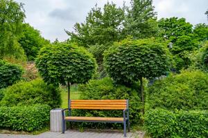 üppig Grün Garten mit Stein Landschaftsbau, Busch Hecke und Bank. Frühling, Sommer- Sicht. foto