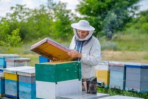 Imker im schützend Arbeitskleidung. Nesselsucht Hintergrund beim Bienenhaus. funktioniert auf das Bienenstände im das Frühling. foto
