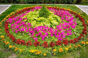 bunt Blumen im das Garten. abgeschnitten Foto. Sommer- Landschaft. Rosa, Gelb Weiß Blumen und Grün Gras. foto