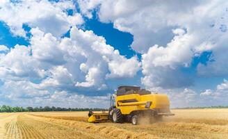 Landwirtschaft Maschine Ernte Ernte im Felder. Besondere Technik im Aktion. foto