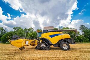 reif Ernte konzept.gelb kombinieren. Ernte Panorama. Müsli oder Weizen sammeln. schwer Maschinen. Blau Himmel über Feld. foto