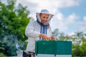 Imker beim Bienenhaus beim das Sommer- Tag. Mann Arbeiten im Bienenhaus. Imkerei. Bienenzucht Konzept. foto