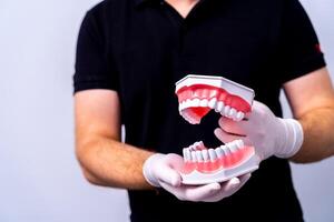 lehrreich Modell- von Kiefer Sektion mit Zähne im Zahnarzt s Hände. Zahnheilkunde Konzept. foto