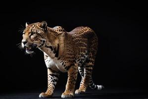 ai generiert Jaguar Tier auf schwarz Hintergrund, Jaguar Porträt , schön Schuss von ein afrikanisch Leopard, Jaguar foto