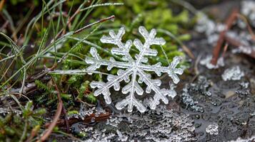 ai generiert Silber Schneeflocke auf Natur Hintergrund mit Morgen Tau foto