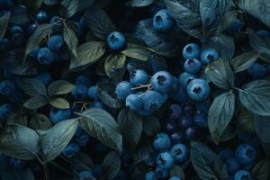 ai generiert Nahansicht von Blaubeeren und Blätter abbilden Frucht, Frische, und organisch Ernte im Natur foto