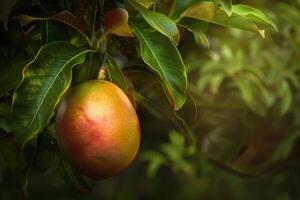 ai generiert reif Mango hängend auf ein tropisch Baum umgeben durch frisch Grün Blätter foto