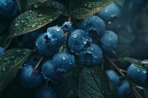 ai generiert frisch Blaubeeren mit Wassertropfen Vitrine ein reif und saftig organisch Obst Nahansicht foto
