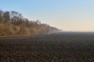 landwirtschaftlich gepflügt Frühling Feld Vor Pflanzen foto