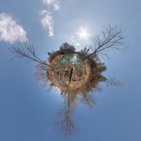 winzig Planet Transformation von kugelförmig Panorama 360 Grad. kugelförmig abstrakt Antenne Aussicht mit Bäume im Wald mit ungeschickt Geäst im Blau Himmel. Krümmung von Raum. foto