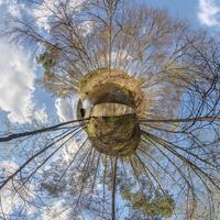 winzig Planet Transformation von kugelförmig Panorama 360 Grad. kugelförmig abstrakt Antenne Aussicht mit Bäume im Wald mit ungeschickt Geäst im Blau Himmel. Krümmung von Raum. foto