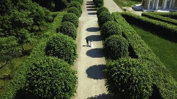 oben Aussicht von Jungvermählten im Garten. kreativ. Paar von Jungvermählten sind Gehen im Palast Garten. Reich Jungvermählten auf ihr Hochzeit Tag im Garten von uralt Nachlass foto