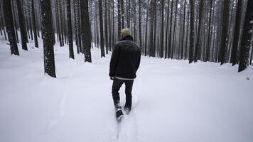 Rückseite Aussicht von stilvoll Mann Gehen im Winter. Medien. stilvoll Schießen von Mann Gehen im Winter Wald. Mann Spaziergänge mit modisch Gangart im Winter Wald foto