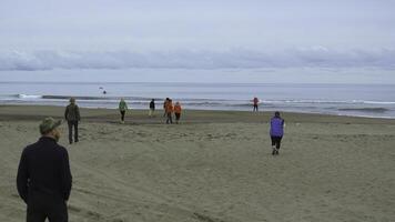 Gruppe von Menschen Gehen auf Strand durch Meer auf wolkig Tag. Clip. Menschen Ansatz Meer auf Strand. Menschen gehen auf sandig Strand foto