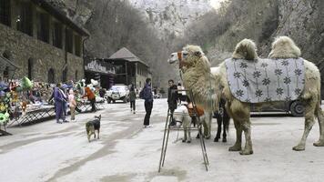 Georgia, Tiflis - - September 26, 2023. Basar mit Menschen im Berge. Lager Filmaufnahme. Tourist Basar mit Souvenirs unter felsig Berge. Souvenirs sind verkauft hoch im Berge beim Fuß von Klippen foto