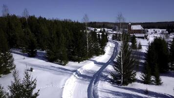 sonnig Tag im Winter Wald. Clip. Antenne Aussicht von ein lange Straße auf Schnee bedeckt Boden unter Grün Bäume. foto