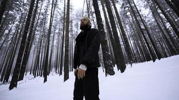 kaukasisch Mann hat verloren im Winter Wald. Medien. verzweifelt jung Hipster Mann ist kalt mit seine rot Haut unter Bäume und Schnee. foto