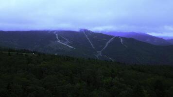 Drohne fliegend Über ein groß Wald während das Sommer- Tag. Clip. endlos Grün bewaldet Schlucht. foto