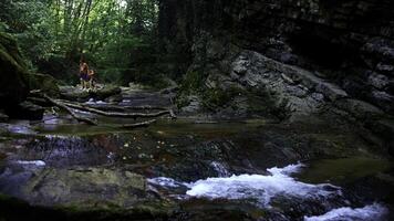 schön Sommer- Bach und Grün Dschungel. kreativ. kalt Wasser Strom und Menschen auf das Hintergrund. foto