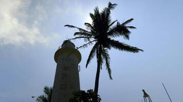 niedrig Winkel Aussicht von ein schön Turm und ein Palme Baum gegen Blau wolkig Himmel. Aktion. Weiß Leuchtturm und Palme Baum. foto