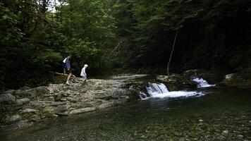 Frau und Junge Gehen entlang natürlich Teich mit klein Wasserfall, Sommer- Zeit. kreativ. Reisen im Dschungel. foto