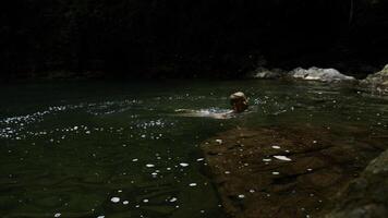 schleppend Bewegung von ein Junge Springen in ein Wasserfall und natürlich Teich. kreativ. jung Junge Kind haben Spaß im Dschungel. foto