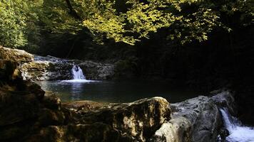 malerisch Sommer- natürlich Teich im tropisch Wald. kreativ. klein Wasserfall und Dschungel. foto