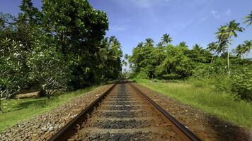 Gehen entlang verlassen Eisenbahn Schiene. Aktion. üppig Grün tropisch Vegetation auf ein Sommer- Tag. foto
