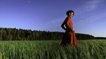 jung Frau Modell- im scharlachrot Kleid fließend im das Wind. Lager Clip. Brünette Frau mit lockig Haar im Feld mit Wald und Blau Himmel auf das Hintergrund. foto