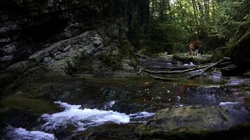 Mutter und Kind im schnell fließend Berg Fluss auf ein Sommer- Tag. kreativ. Wandern im Sommer- Dschungel. foto