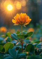 ai generiert Gelb Blume und Grün Blätter im das Garten mit Sonnenlicht Hintergrund foto